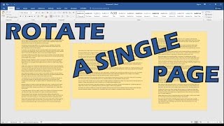 How To Rotate Just One Page Of A Word Document [upl. by Ahsotal]