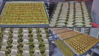 Turkish Baklava Varieties Pistachio And Walnut Wrap Baklava Recipe How To Make Sobiyet And Kadayif [upl. by Danaher]