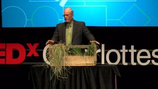 Cows Carbon and Climate  Joel Salatin  TEDxCharlottesville [upl. by Faubert]