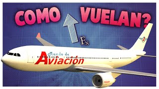 ¿Cómo hace un avión para volar [upl. by Darrow515]