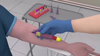 Online Phlebotomy Training Program [upl. by Redienhcs571]