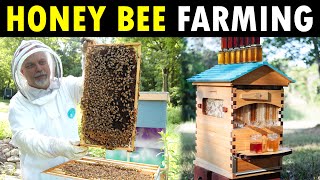 How to start Honey Bee Farming at Home for beginners  Beekeeping  Honey Farming  Apiculture [upl. by Nwahsed]