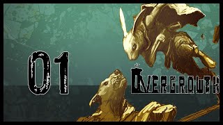 Overgrowth Gameplay Lets Play Part 1 I KNOW KUNG FU  SPECIAL FEATURE [upl. by Letnahc]