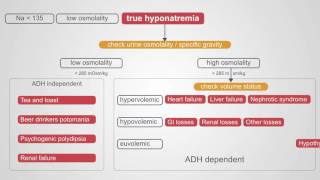 Diagnosing Hyponatremia A Comprehensive Algorithm [upl. by Inoy]