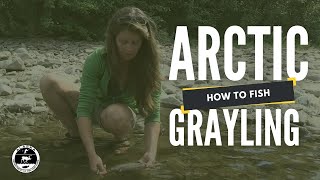 How to Fish for Arctic Grayling [upl. by Nohsav]