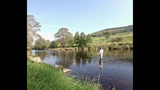 Grayling Fishing On The River Wharfe [upl. by Ruthi623]