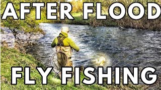 Grayling Fishing UK  Floodwater Fly Fishing [upl. by Ignacio]