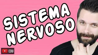 SISTEMA NERVOSO  FISIOLOGIA  Aula  Biologia com Samuel Cunha [upl. by Stalder]