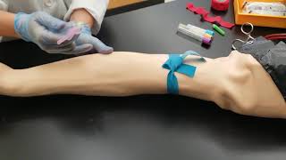 What To Expect from Phlebotomy Training [upl. by Gyatt]