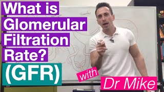 Glomerular Filtration Rate GFR  Renal System [upl. by Ynnahc]