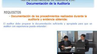 NIA 230 Documentación de auditoría [upl. by Leunad]