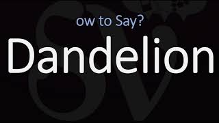 How to Pronounce Dandelion CORRECTLY [upl. by Bohun]