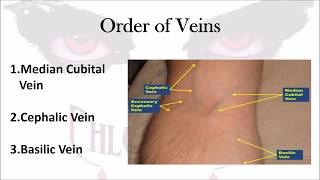 Chapter 1 Phlebotomy Practice and Quality Assessment Lecture [upl. by Eimrej]