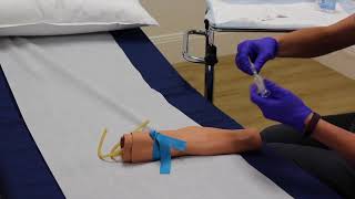 Phlebotomy Venipuncture Procedure [upl. by Darius636]