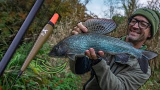 BIG Grayling  River Frome  Nick Marsh [upl. by Schild282]