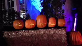 Mesmerizing 5 Pumpkin Singing Display  Must See Halloween Special [upl. by Deibel]