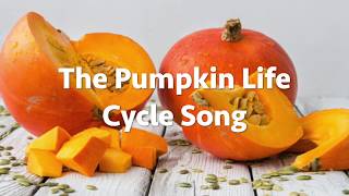 The Pumpkin Life Cycle Song [upl. by Naenej544]