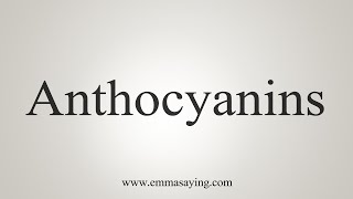 How To Say Anthocyanins [upl. by Thant792]