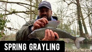 Spring Grayling [upl. by Maryann649]