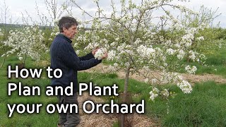 How to Plan and Plant your own Orchard [upl. by Suravart]