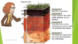 6° Básico  Ciencias naturales  Erosión [upl. by Iey145]