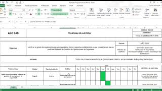 Ejemplo Programa de auditoria [upl. by Annovaj]