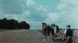 English Harvest 1938 [upl. by Volnay390]