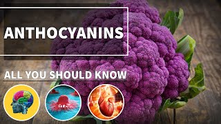 ANTHOCYANINS Health BENEFITS amp Properties 💚 100 Herbalism Vegan food benefits [upl. by Von]