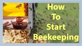 Beekeeping How To Start Beekeeping In 2025 [upl. by Pessa]