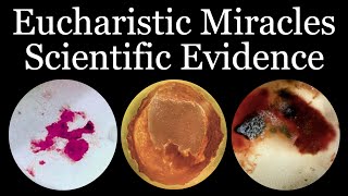 Scientific Evidence of Eucharistic Miracles  Inspired By Carlo Acutis [upl. by Korella131]