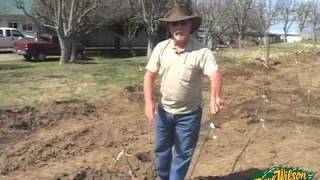 Backyard Orchard Demo  planting [upl. by Merilee951]