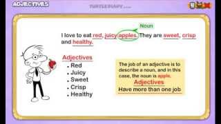 Adjectives Everything You Need To Know Grammar for Kids [upl. by Brouwer710]