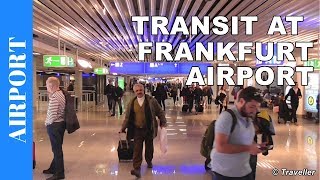 TRANSIT WALK AT FRANKFURT Airport FRA Terminal 1  Connection Flight Transfer Arriving amp Departing [upl. by Lotus]