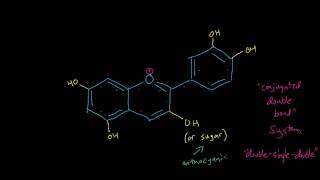 Blueberries  Anthocyanin [upl. by Zane]